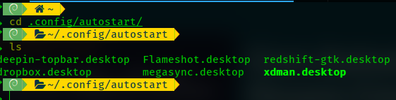folder di .config/autostart